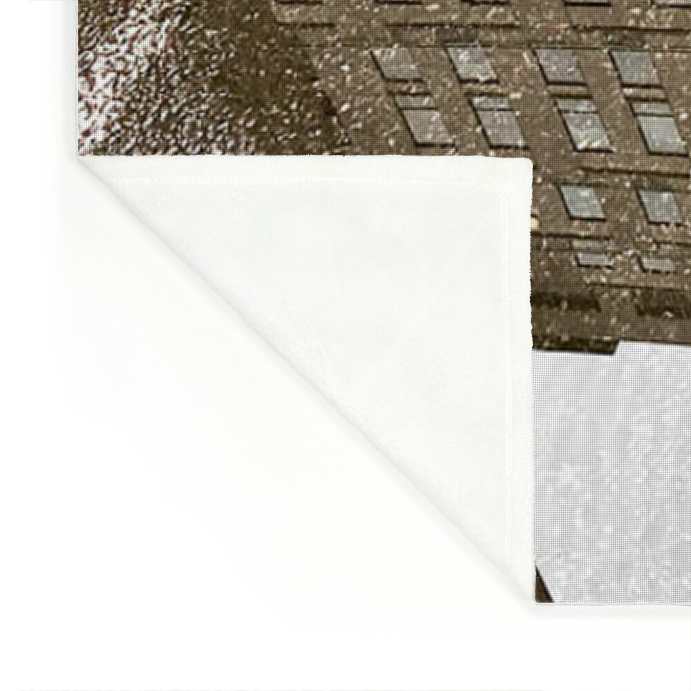 Puddle reflection of Louis Vuitton on Madison Avenue Fleece Blanket by Ian  Bouras - Pixels