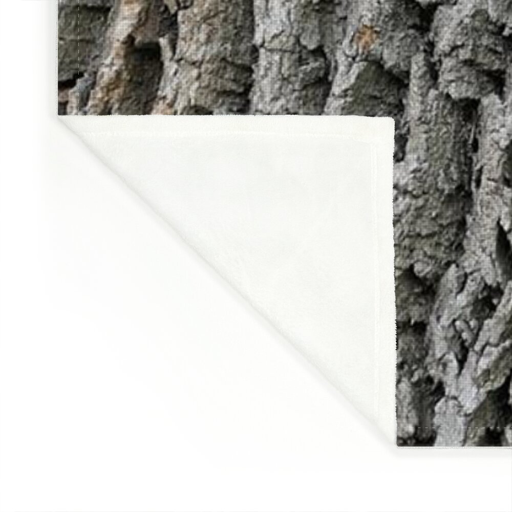 Tree Bark Texture Photograph by Bentley Davis - Pixels