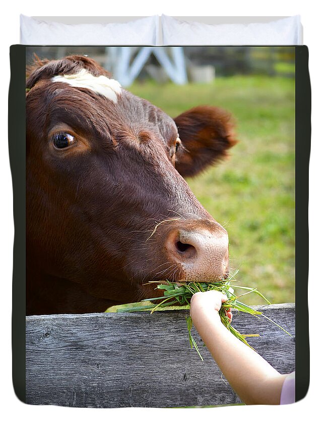 Cow Duvet Cover featuring the photograph Childs Helping Hand by Julie Palencia