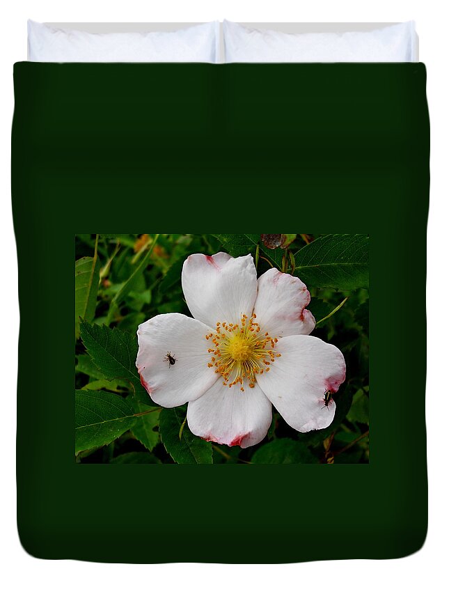 Flower Duvet Cover featuring the photograph Going Hiking by Yolanda Raker