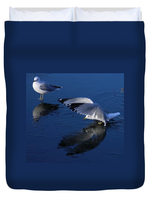Landing On Icy Water Duvet Cover featuring the photograph Landing On Icy Water by Emmy Vickers