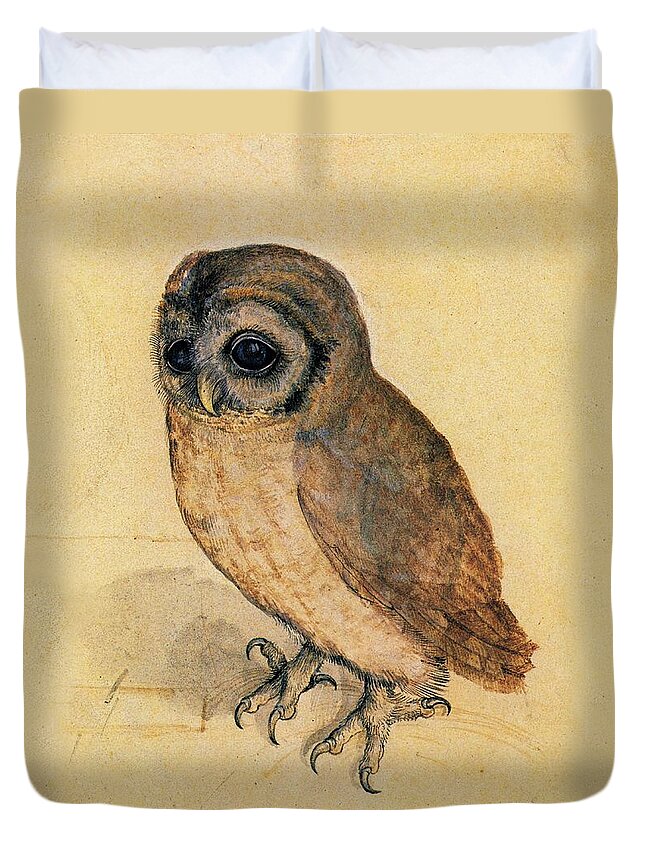 Owl Duvet Cover featuring the painting Little Owl by Albrecht Durer