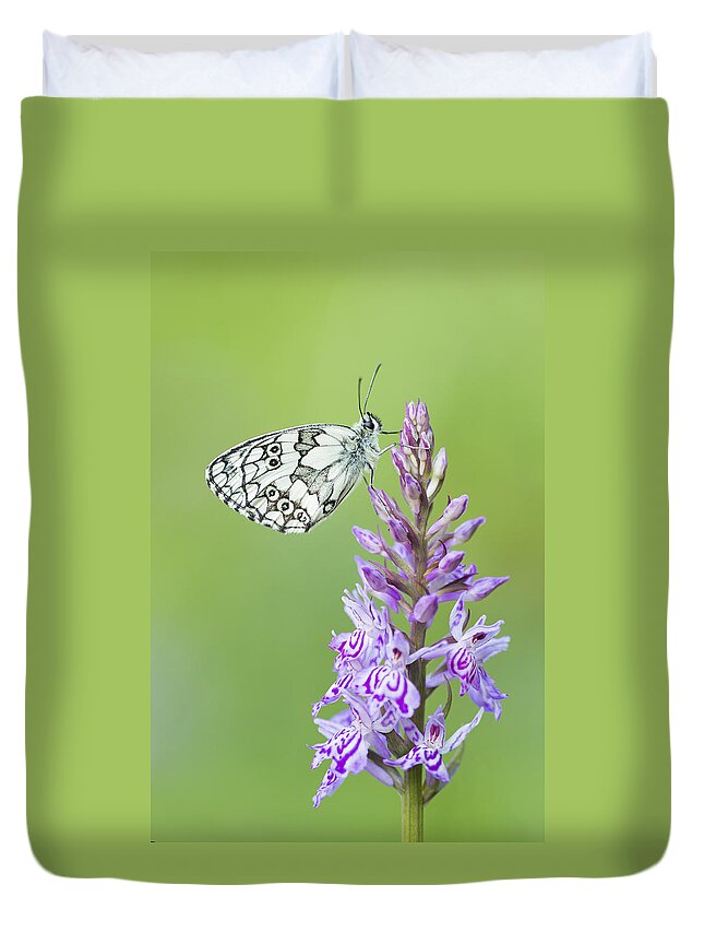 Fragility Duvet Cover featuring the photograph Marbled White Butterfly by Mircea Costina Photography