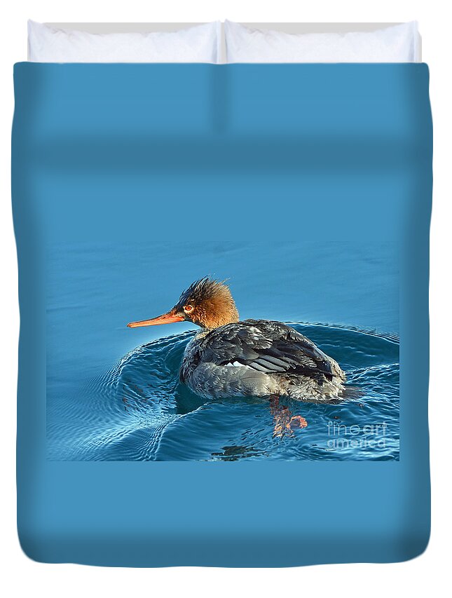 Duck Duvet Cover featuring the photograph  Merganser by Rodney Campbell