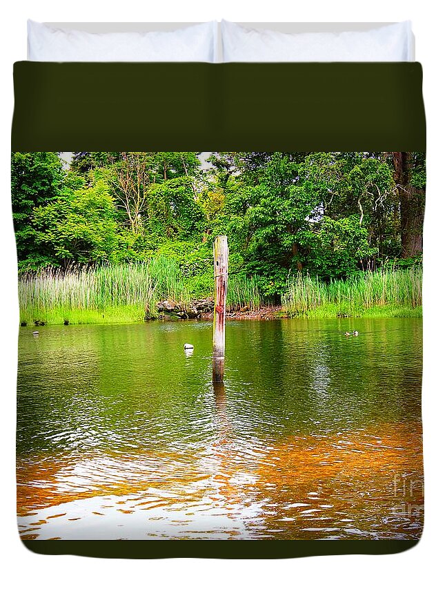 Water Duvet Cover featuring the photograph Old Weathered Pilling by Judy Palkimas