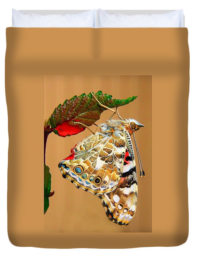 Butterfly Duvet Cover featuring the photograph Painted Lady Butterfly by David and Carol Kelly