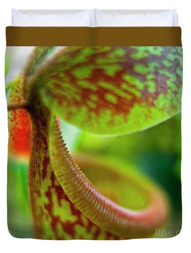 Heiko Duvet Cover featuring the photograph Pitcher Plants 2 by Heiko Koehrer-Wagner