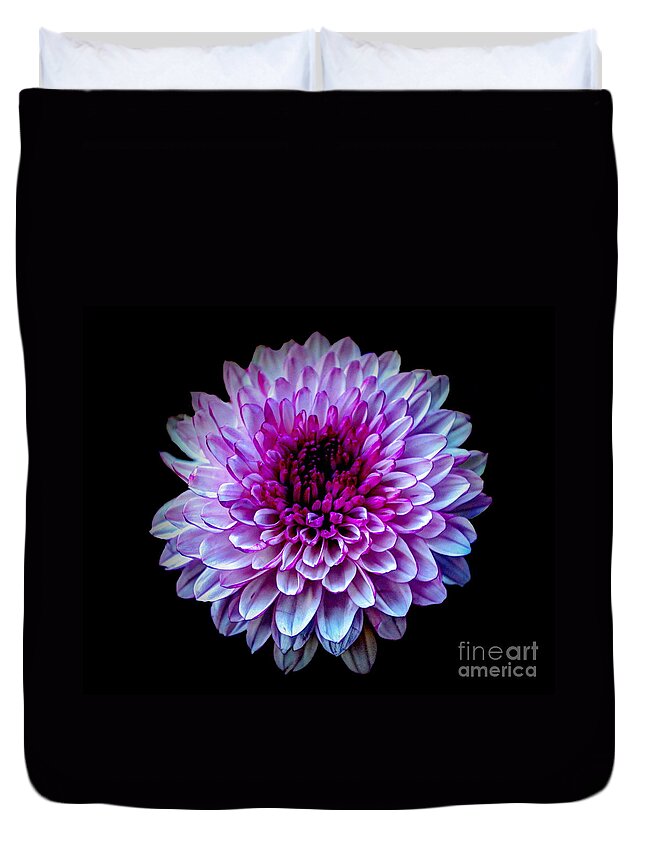 Nature Duvet Cover featuring the photograph Purple On Black by Michelle Meenawong