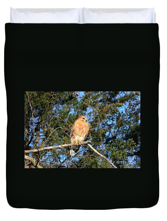 Andscape Duvet Cover featuring the photograph Simply Majestic by Peggy Franz