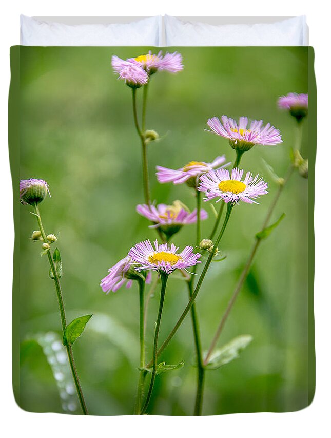 Landscape Duvet Cover featuring the photograph Wild Pink Asters by Cheryl Baxter