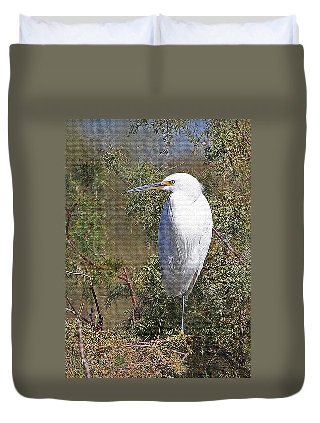  Yellow Foot Snowy Egret On Perch Duvet Cover featuring the photograph Yellow Foot Snowy Egret On Perch by Tom Janca