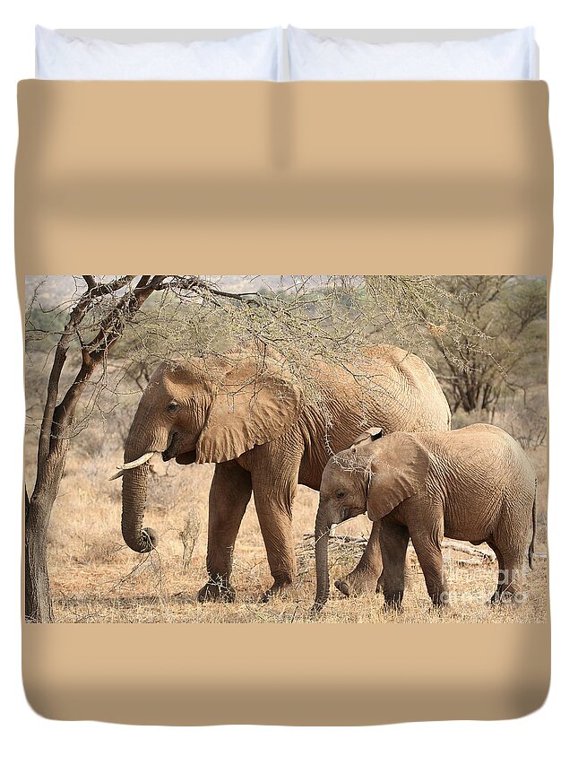 African Elephant Duvet Cover featuring the photograph African Elephant mother and calf #2 by Liz Leyden