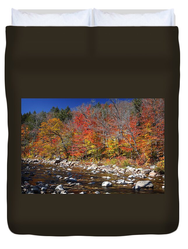 Landscape Duvet Cover featuring the photograph Along the river #1 by Dominique Dubied