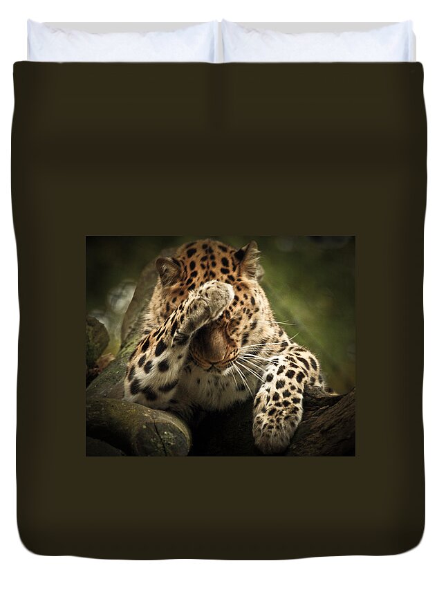 Animal Duvet Cover featuring the photograph Amur Leopard by Chris Boulton