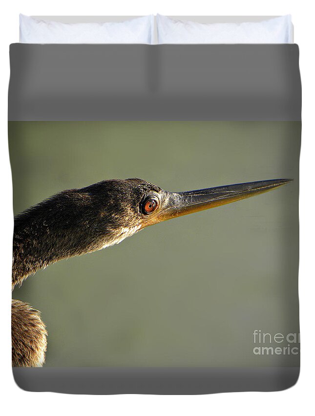 Wading Birds Duvet Cover featuring the photograph Anhinga #3 by Savannah Gibbs