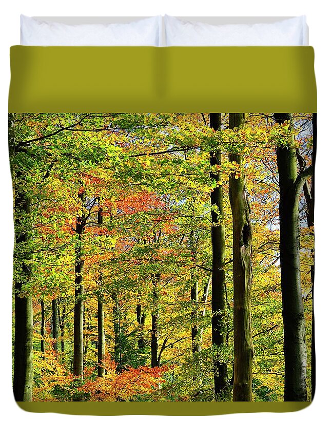 Scenics Duvet Cover featuring the photograph Autumn Colors In The Woods #1 by Sjo
