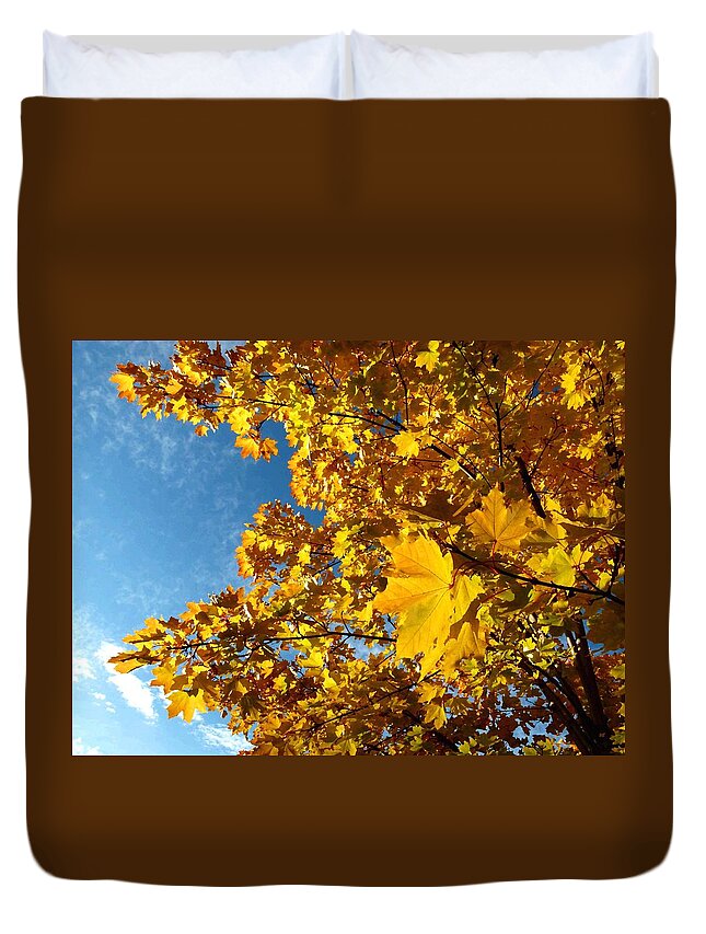 Autumn Splendor 9 Duvet Cover featuring the digital art Autumn Splendor 9 #1 by Will Borden