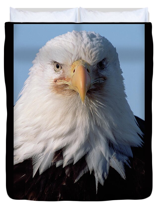 00343908 Duvet Cover featuring the photograph Bald Eagle Alaska by Yva Momatiuk John Eastcott