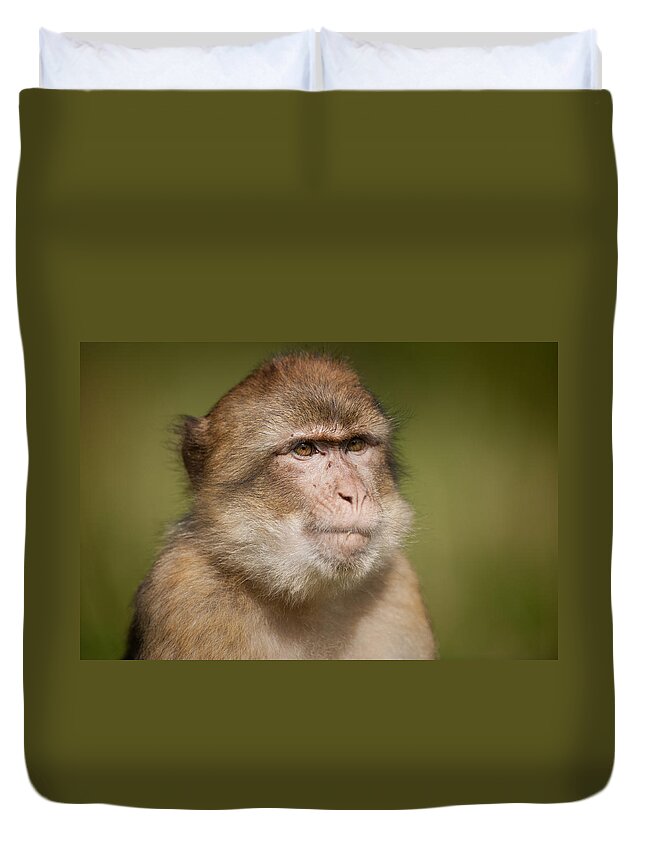 Monkey Duvet Cover featuring the photograph Barbary Macaque #1 by Andy Astbury