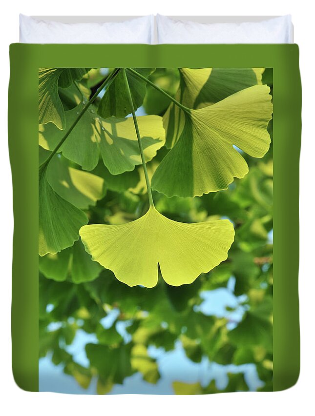 Ginkgo Tree Duvet Cover featuring the photograph Beauty In Nature by Caoyu36