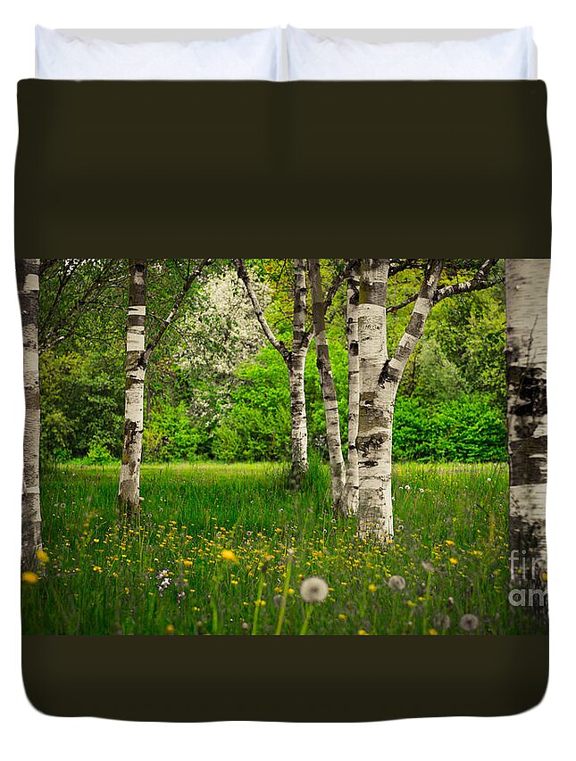 Birch Duvet Cover featuring the photograph Birches #1 by Hannes Cmarits