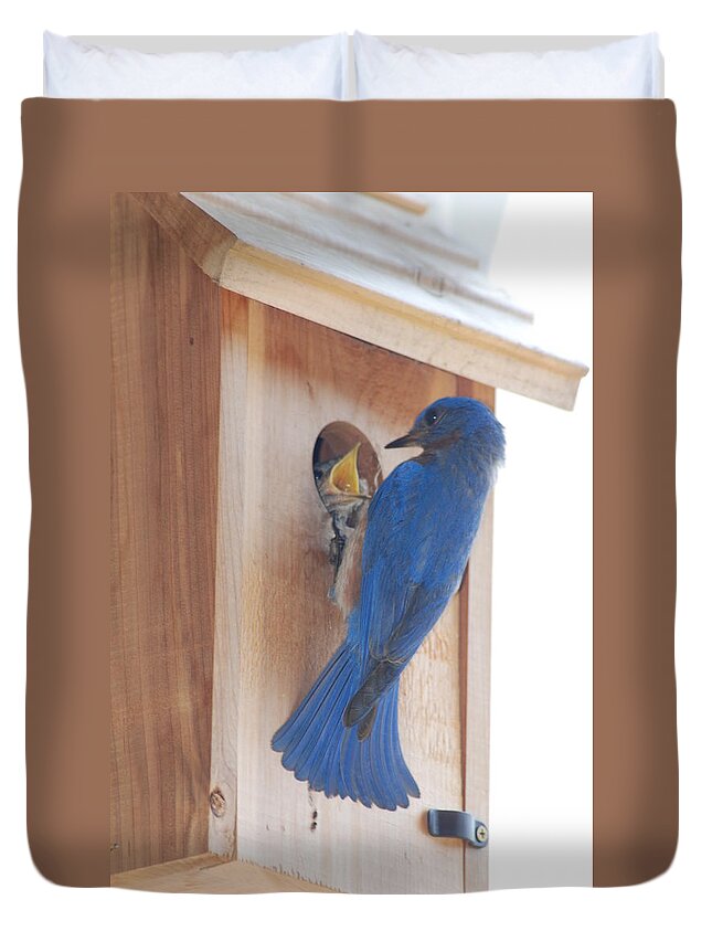 Bird Duvet Cover featuring the photograph Bluebird of Happiness by Kenny Glover