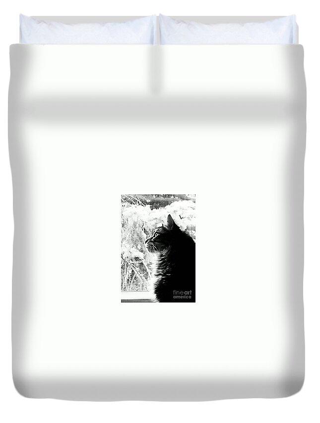 Maine Coon Duvet Cover featuring the photograph Bo #1 by Jacqueline McReynolds