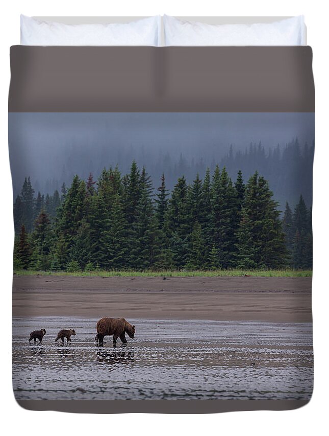 Brown Bear Duvet Cover featuring the photograph Brown Bear In Lake Clark National Park #1 by Gavriel Jecan