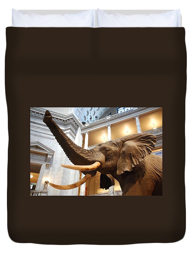 Bull Elephant Duvet Cover featuring the photograph Bull Elephant in Natural History Rotunda by Kenny Glover