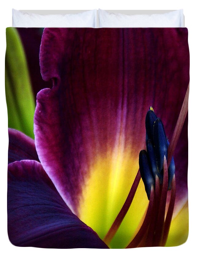 Burgundy Duvet Cover featuring the photograph Burgundy Lily #1 by Chauncy Holmes