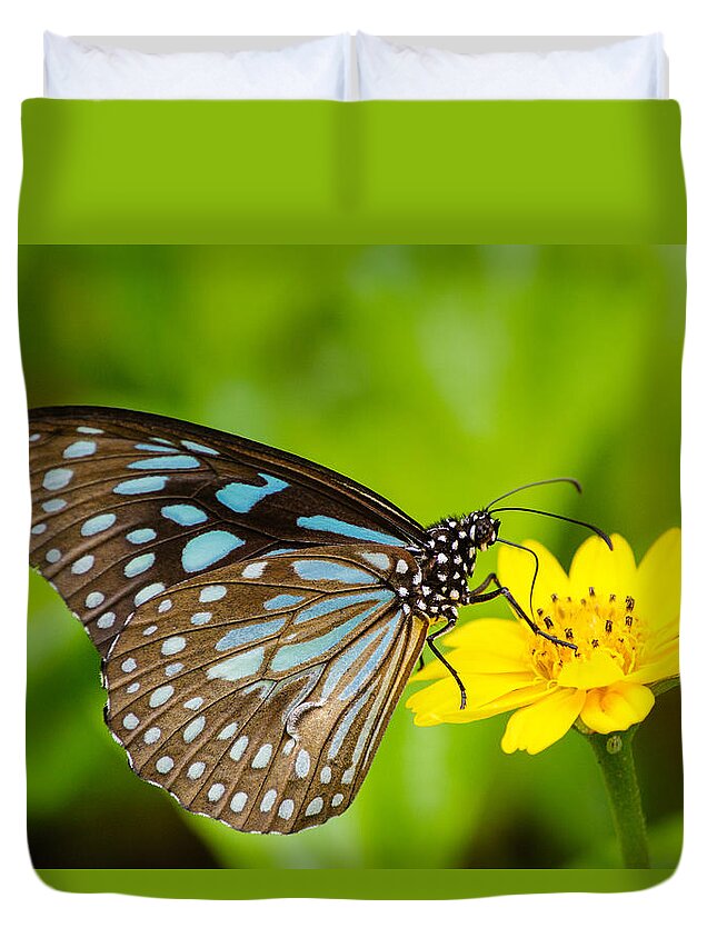 Blue Tiger Duvet Cover featuring the photograph Butterfly - Blue Tiger #1 by SAURAVphoto Online Store