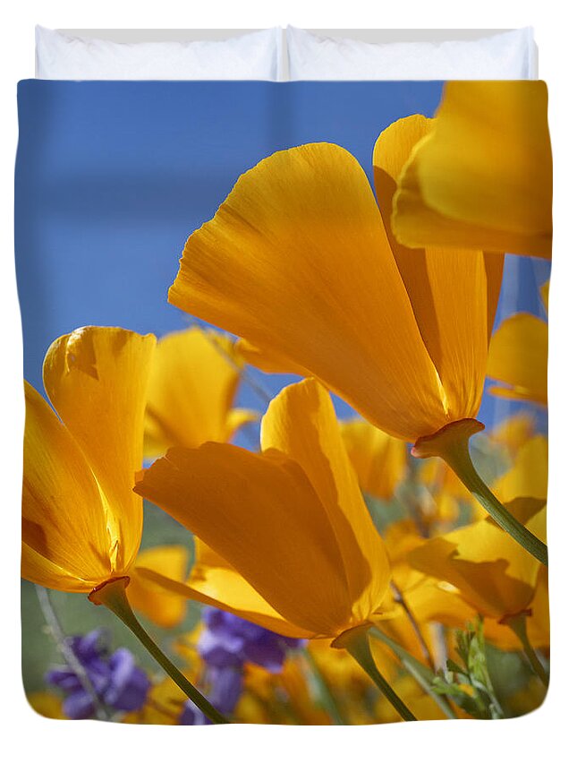 Feb0514 Duvet Cover featuring the photograph California Poppies Antelope Valley #1 by Tim Fitzharris