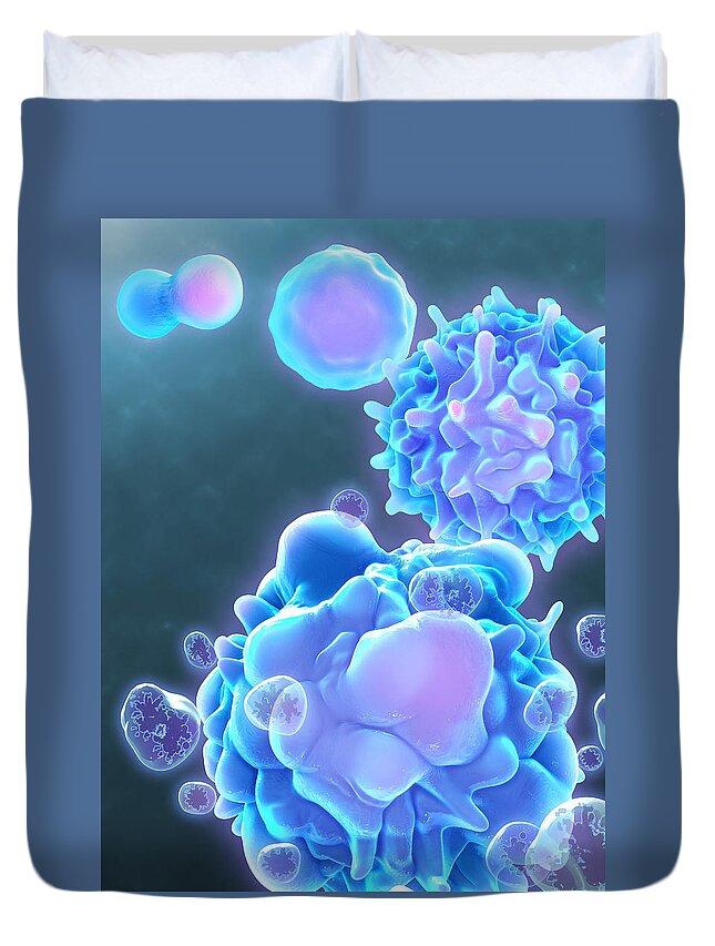 Cellular Duvet Cover featuring the photograph Cell Life Cycle #1 by Evan Oto