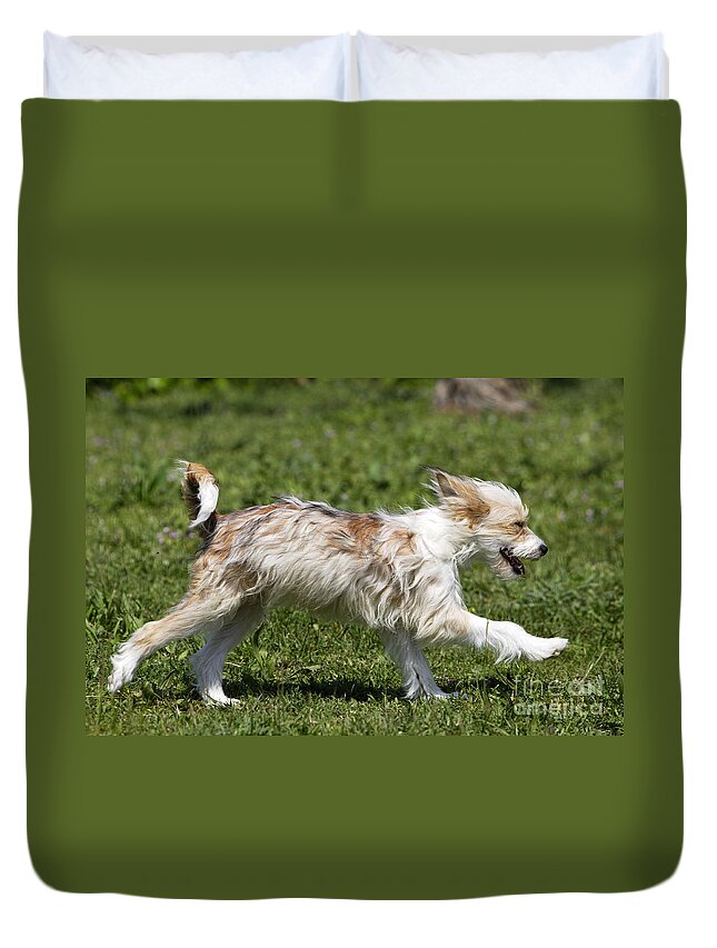 Chinese Crested Duvet Cover featuring the photograph Chinese Crested Dog #1 by M. Watson