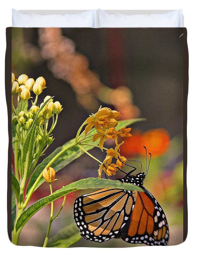 Butterfly Duvet Cover featuring the photograph Clinging Butterfly #1 by Matalyn Gardner