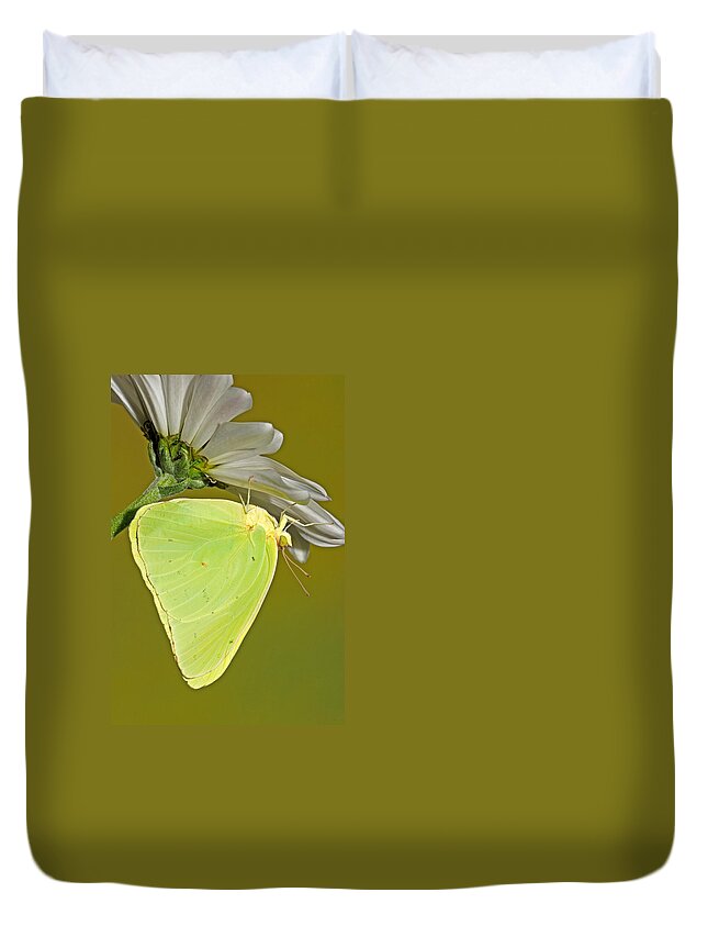 Animal Duvet Cover featuring the photograph Cloudless Sulphur Butterfly #5 by Millard H Sharp