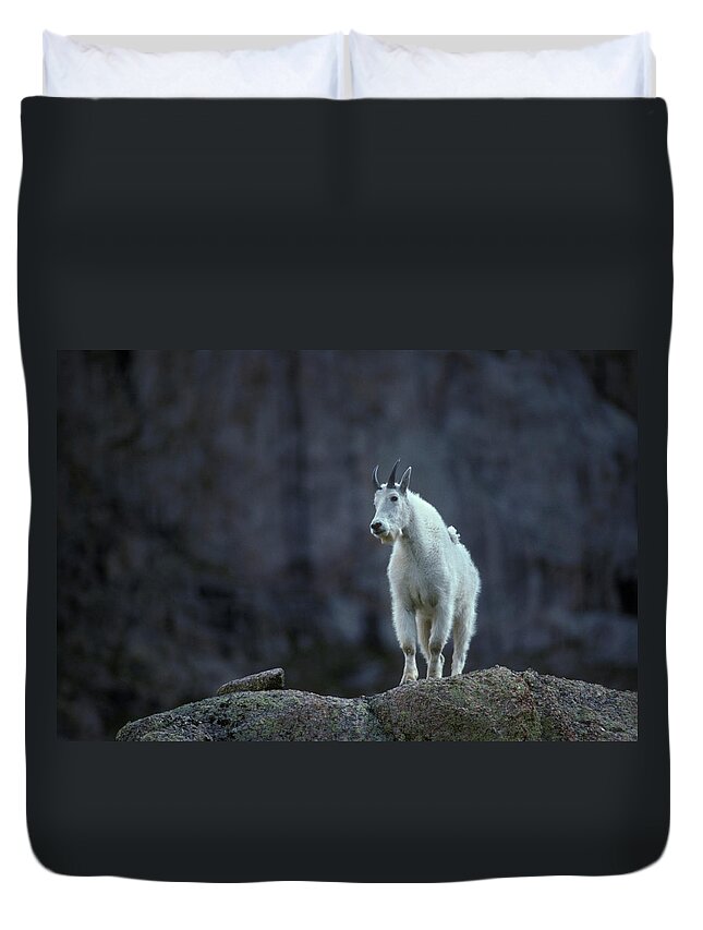 Rocky Mountain Goat Duvet Covers