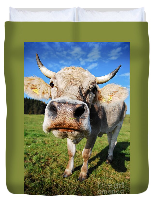 Cow Duvet Cover featuring the photograph cow by Hannes Cmarits