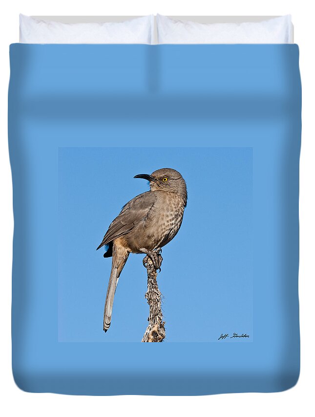 Animal Duvet Cover featuring the photograph Curve-Billed Thrasher #1 by Jeff Goulden