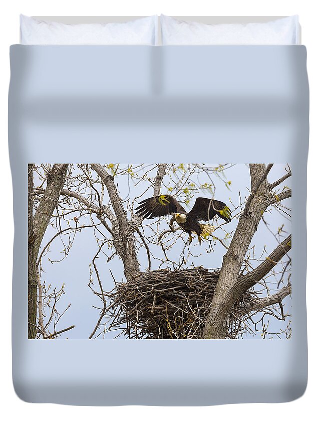 Adult Duvet Cover featuring the photograph Eagle Nest #1 by Jack R Perry