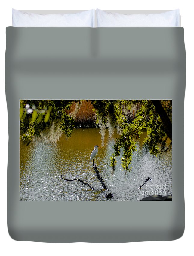 White Heron Duvet Cover featuring the photograph Egret #1 by Dale Powell