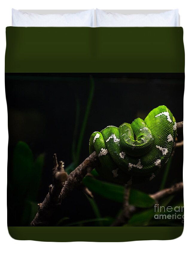 Emerald Tree Boa Duvet Cover featuring the photograph Emerald Tree Boa by Imagery by Charly