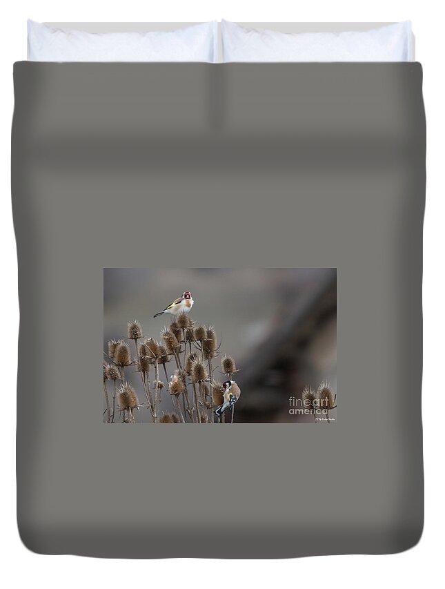 Aves Duvet Cover featuring the photograph European Goldfinch #7 by Jivko Nakev