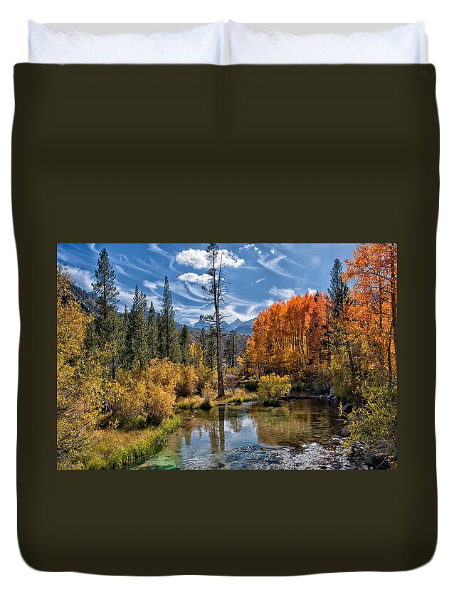 Mountains Duvet Cover featuring the photograph Fall at Bishop Creek #1 by Cat Connor