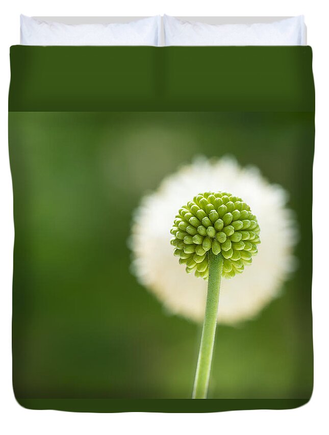 Background Duvet Cover featuring the photograph Flower bud #1 by Kim Pin Tan