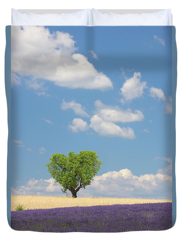 Scenics Duvet Cover featuring the photograph France, View Of Lavender Field With Tree #1 by Westend61