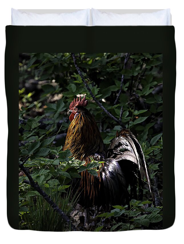 Rooster Duvet Cover featuring the photograph Free Range Rooster at Sunrise by Michael Dougherty