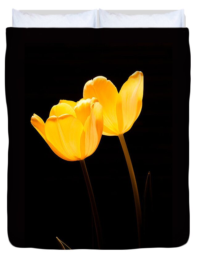 Blossom Duvet Cover featuring the photograph Glowing Tulips II #1 by Ed Gleichman