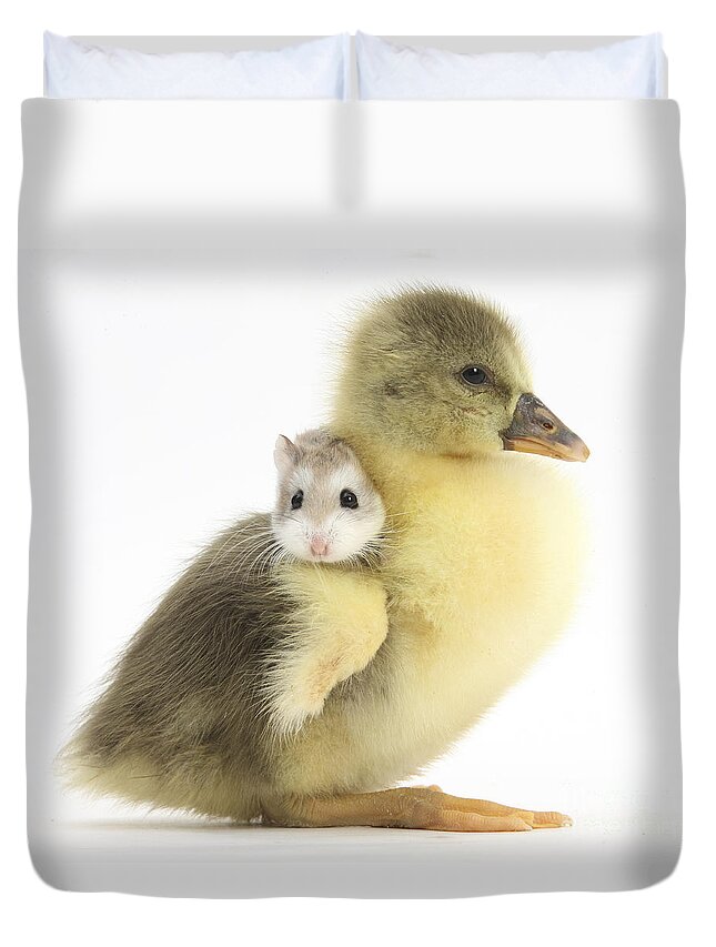 Roborovski Hamster Duvet Cover featuring the photograph Gosling And Roborovski Hamster #1 by Mark Taylor