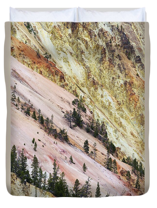 Flpa Duvet Cover featuring the photograph Grand Canyon Of Yellowstone Wyoming #1 by Bill Coster